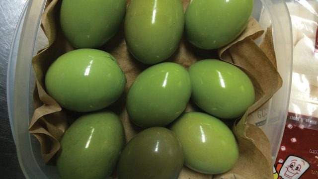 crested ,vulturine guinea fowl and tinamous eggs available