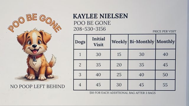 Dog Poop Pickup Service