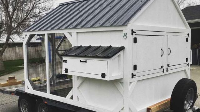 Chicken Coop