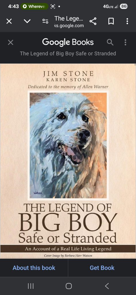 The legend of big boy safe ore stranded