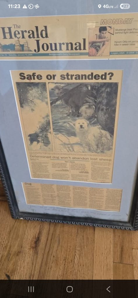 The legend of big boy safe ore stranded