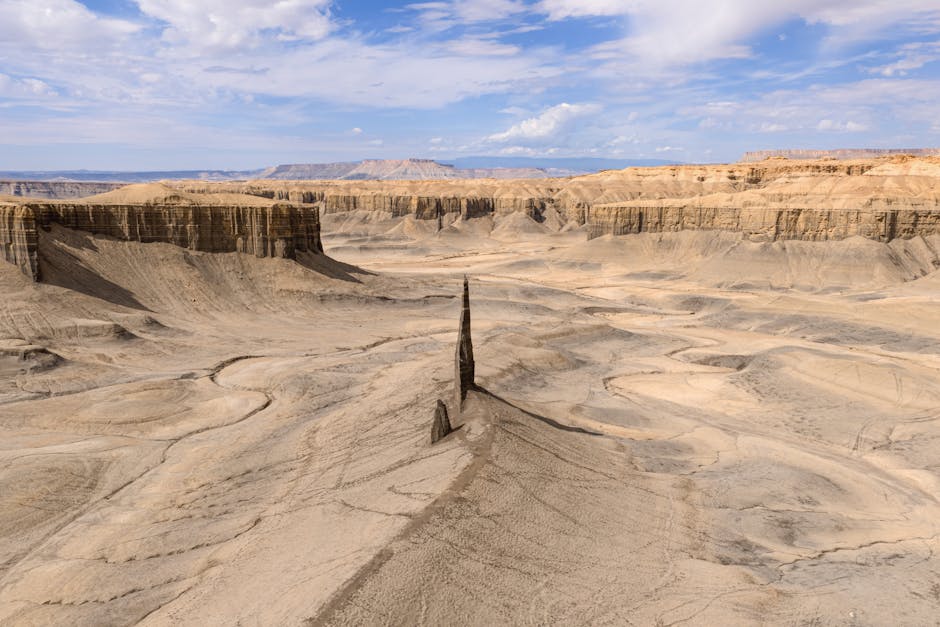 Exploring Utah’s Unique Wildlife: Best Spots for Bird Watching and Animal Sightings